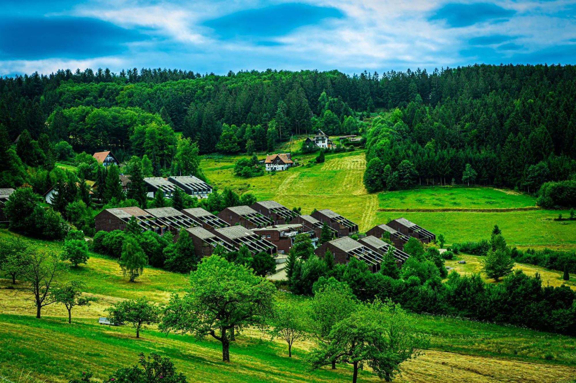 Natur Tanken Im Schwarzwald Sasbachwalden Zewnętrze zdjęcie